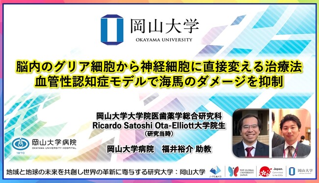 【岡山大学】脳内のグリア細胞から神経細胞に直接変える治療法　血管性認知症モデルで海馬のダメージを抑制