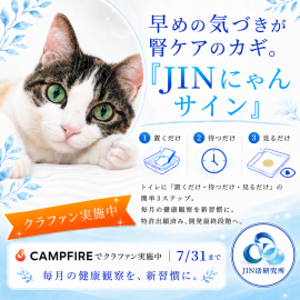愛猫の腎臓を見守るきっかけシートを開発中(特許出願済)クラウドファンディングCAMPFIREに掲載 愛猫の腎臓を見守るきっかけシートを開発中(特許出願済)クラウドファンディングCAMPFIREに掲載