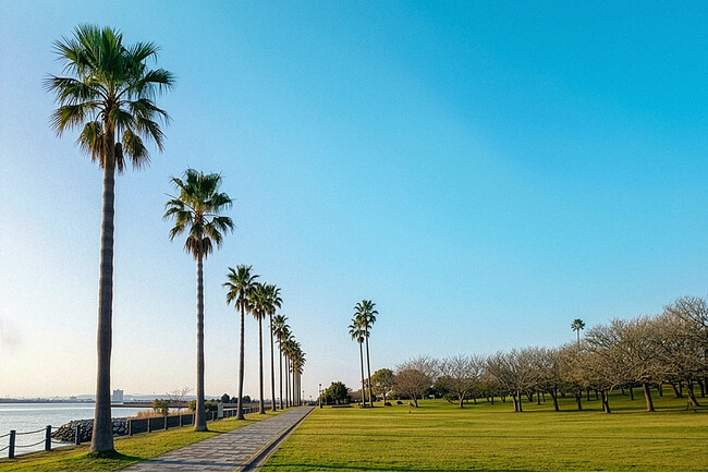 長崎空港すぐ！大村湾を望む芝生の上に新フェス誕生。音楽フェス「OMURA BAY BEAT 2026」初開催決定