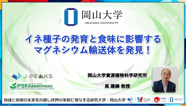 【岡山大学】イネ種子の発育と食味に影響するマグネシウム輸送体を発見！