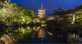 一夜限りの貸し切り企画 東寺 秋の夜間特別拝観 一夜限りの貸し切り企画 東寺 秋の夜間特別拝観