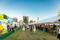 青空と芝生とクラフトビール。町田シバヒロで「大江戸ビール祭り2026夏」開催！
