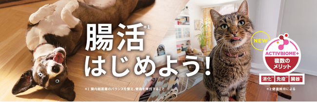 「ヒルズ サイエンス・ダイエット」が犬・猫の腸内細菌叢のバランスを整え、全身の健康を維持する製品へ全面*⁴リニューアル