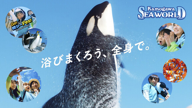 【鴨川シーワールド】千葉県発の気鋭バンド×千葉県老舗の水族館でお届けする新CMが解禁！夏の新CM放送決定！＆ SNSキャンペーン開催！！