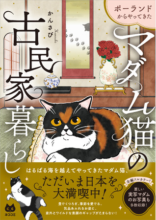 【ポーランド猫×日本の古民家！】気高くエレガント。なのに好奇心全開！ コミックエッセイ『ポーランドからやってきた マダム猫の古民家暮らし』2026年6月18日（木）発売