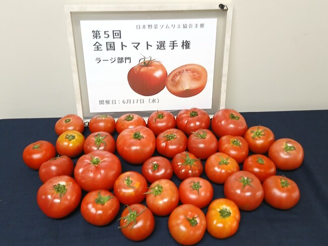 ラージトマト日本一が決定！越冬トマト「株式会社曽我農園/新潟県新潟市」が最高金賞を受賞！