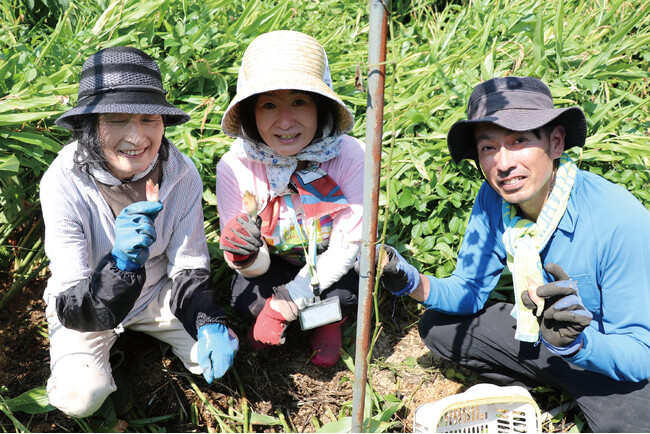 高崎市で夏の農業体験「畑のリアル体験2026 inくらぶち草の会」 7月4日(土)〔群馬〕
