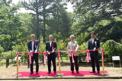 京都府立植物園に 「伝承樹の苑(でんしょうじゅのその)」 開設　～住友林業が新たにクローン増殖に成功した3品種を初公開～