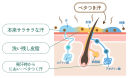 「洗い残し皮脂」とお風呂上がりの「サラサラ汗」が合体し、ベタつき汗に