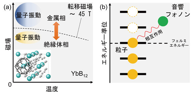近藤絶縁体YbB12における磁気音響量子振動の探索 ~超音波実験により絶縁体相の謎に迫る~