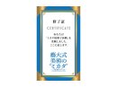 「藝大式美術のミカタ」修了試験(クイズラリー)付きチケット 「藝大式美術のミカタ」修了試験(クイズラリー)付きチケット
