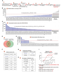 Cloud-CloneのELISAキット　Cell誌掲載の肝線維化治療薬研究の成功に貢献