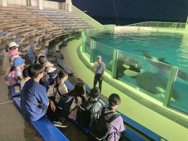 【夏休みの過ごし方】7/27出発 夜の水族館！鴨川シーワールド裏側探険＆アニマルアドベンチャーキャンプ