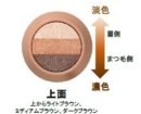 『グラデシャドウスティック』断面図 『グラデシャドウスティック』断面図