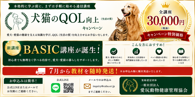 【新講座】ペットの資格 全10講座を特別価格30,000円で提供開始！犬猫の健康を基礎から学べる「ペットの資格 BASIC通信教育講座」を開講。
