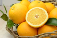 水分・塩分の補給だけでは防げない？！「熱中症対策に“血管を守る”」新常識　ハッサク成分「オーラプテン」で熱中症対策東洋大学が世界初の発見！