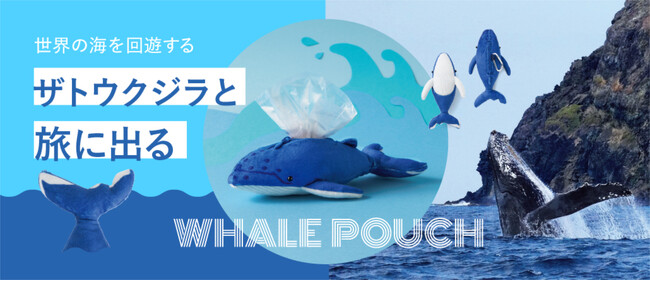 小笠原にやってくるアイドルクジラ“モッチーニ”を再現した「ザトウクジラのマスコットポーチ」が新登場【小笠原ホエールウォッチング協会監修】