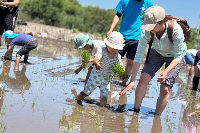 田植えしながら生き物調査　さいたま市岩槻区で生産者に教わる米作り〔埼玉〕