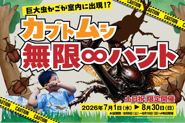 巨大な虫かごで夏の昆虫採集気分を満喫！オーパークおごせの涼しい館内で楽しむ「無限カブトムシハント」
