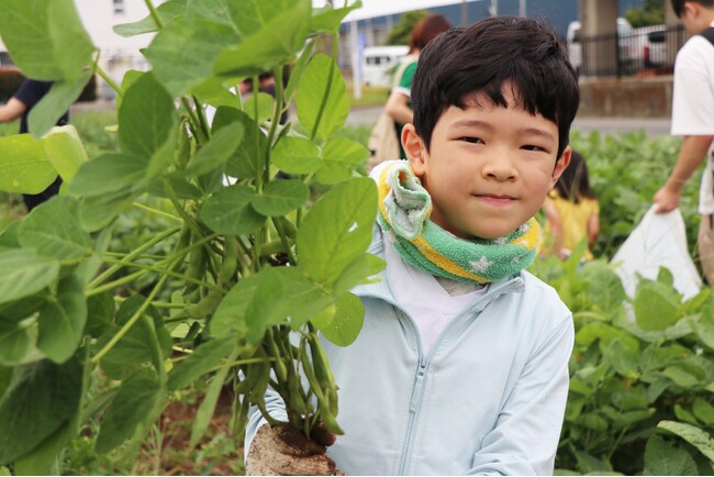 4月に種まきした枝豆やトウモロコシを収穫　伊勢崎市で心育む農業体験　7月11日（土）〔群馬〕