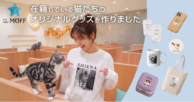 737頭の「推し猫」たち、それぞれの魅力を商品化！22,000パターンのグッズ展開を実現