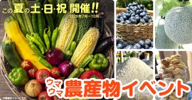 2026年7月～10月に「ウマウマ農産物イベント」開催継続！