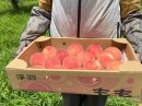 「明果園」の桃