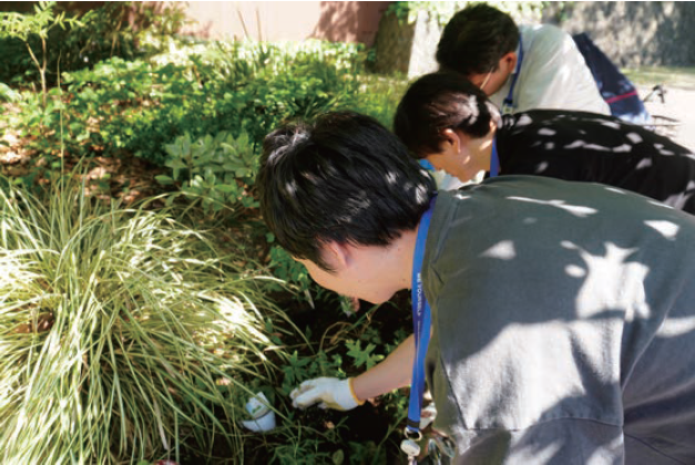 日比谷公園でのSynecoculture(TM)春の植栽実施のお知らせ