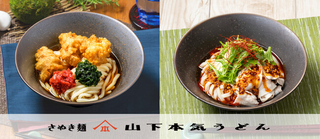 山下本気うどんから夏を感じる新商品が登場！！『食べるラー油豚しゃぶぶっかけうどん』『鶏天と梅あおさのぶっかけうどん』が新発売
