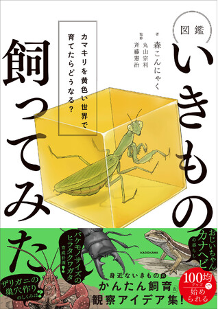 【Amazonランキング1位*獲得！】人気生き物系YouTuber・森こんにゃく初書籍『図鑑いきもの飼ってみた カマキリを黄色い世界で育てたらどうなる？』2026年7月27日（月）発売