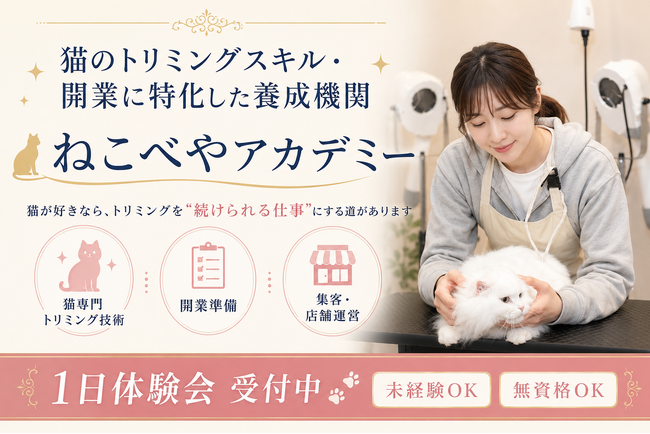 「これから資格を取りたい」人も、「資格は取った、けどトリマーとして就職できていない」という人も。猫が好きなら、トリミングを“続けられる仕事”にする道があります