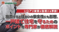 シロアリ被害が急増する季節！放置すると住まいの安全性にも影響、一戸建て住宅を守るためのポイントを専門家が徹底解説