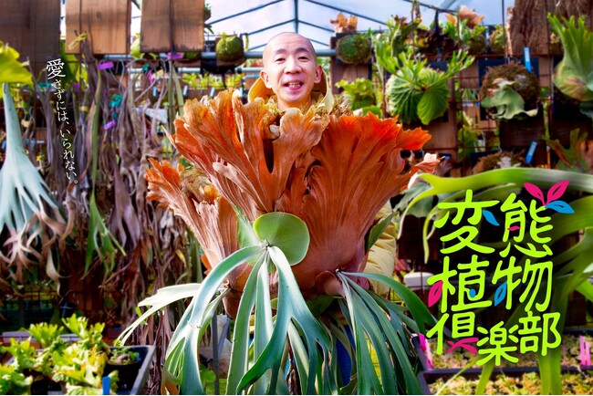 2026年日本民間放送連盟賞　近畿地区審査にて、テレビ大阪「変態植物倶楽部」がテレビ・バラエティ番組部門で１位を獲得！中央審査会へ選出！