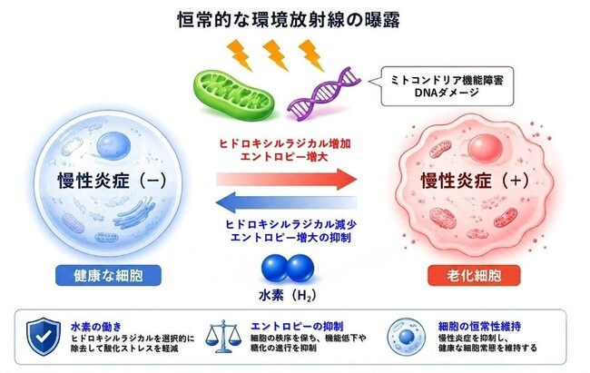 分子状水素の抗酸化・細胞保護総説 3 本が Medical Gas Research 受理｜MiZ・慶應