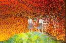 舞台より(1) 舞台より(1)