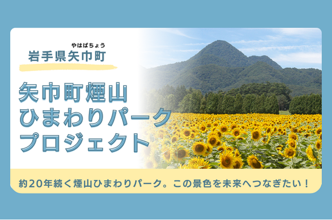 約20万本のひまわりを未来へ　矢巾町がクラウドファンディングを実施