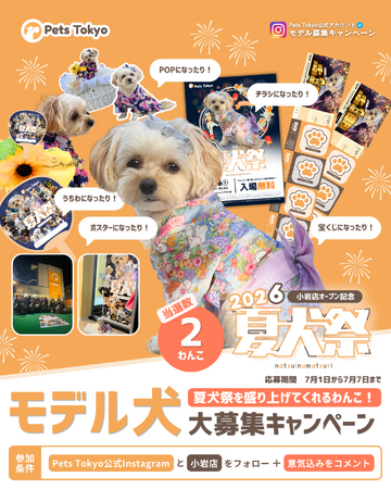 Pets Tokyo、「夏犬祭2026」のメインビジュアルモデル犬を募集