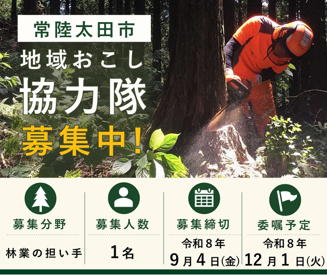 【茨城県常陸太田市】林業で活躍できる「地域おこし協力隊」を募集しています(令和8年度)