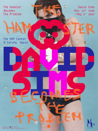 MOP Foundationがデヴィッド・シムズの大規模展覧会開催を決定『The Hamster Becomes The Problem』