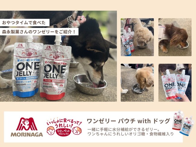 「一緒だからもっとおいしい」をテーマに、 森永製菓「ひととペットプロジェクト」とPets Tokyoが コラボキャンペーンを開催