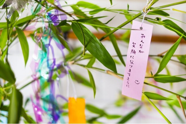 年に1度の七夕、みんなはどう過ごす？願いごとや予定を調査！【1000人アンケート】