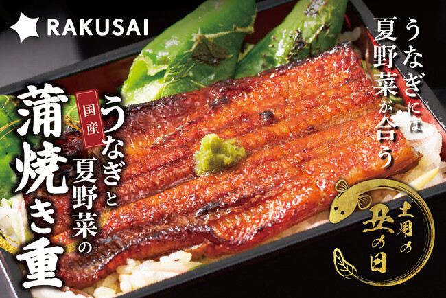 【7月26日は土用の丑の日】“夏バテでうなぎは重い”を解決『国産うなぎと夏野菜の蒲焼き重セット』