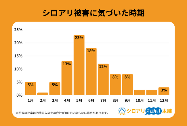 【独自調査】シロアリによる被害は梅雨明けからが本番｜被害者の約7割が知らなかった