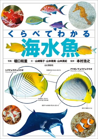 日本近海で見られる海水魚を見分けられる！ 大好評の『くらべてわかる図鑑』シリーズに、待望の「海水魚」が登場！