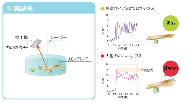 【宇部高専】微生物も「急には止まれない」!?