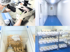 図 1 Cloud-Clone 実験動物センター SPF 動物飼育室 図 1 Cloud-Clone 実験動物センター SPF 動物飼育室