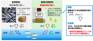 DHAやEPAなど5種の機能性脂肪酸量を同時に高めた珪藻の育種に成功 ～天然資源由来の魚粉・魚油に頼らないサステナブルな次世代養殖飼料の開発を加速～