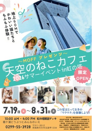地上60mの空の上で、猫と出会う夏。