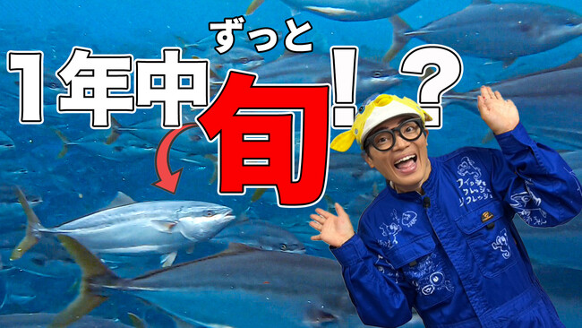 さかなクンが「黒瀬ぶり」のおいしさの秘密に迫る動画公開