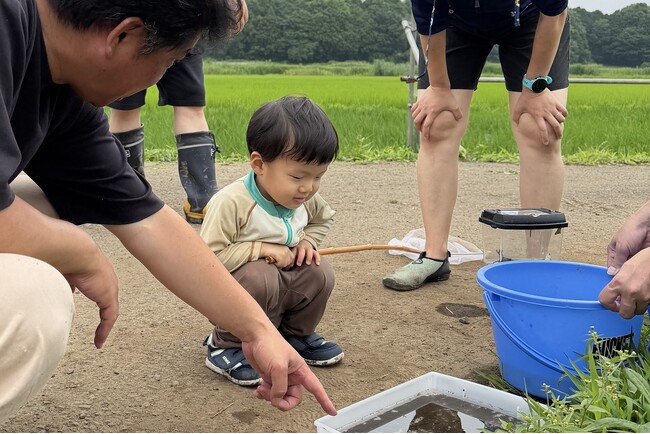 手作り「ビオトープ」で生きもの調査 カルガモも飛来?の生態系 つくば市谷田部で